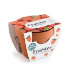 Radis et Capucine - Mini kit Fraisier - Pot Terre Cuite - 6 cm - MEDIA_3D